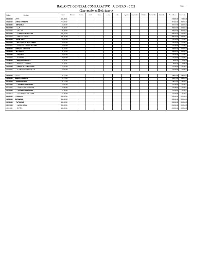 COMPROBACIONES | PDF | Hoja de balance | Industrias de servicio