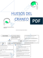 Clase Huesos de Craneo