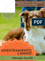 Adiestramiento+Canino+ +Metodo+CanIQ