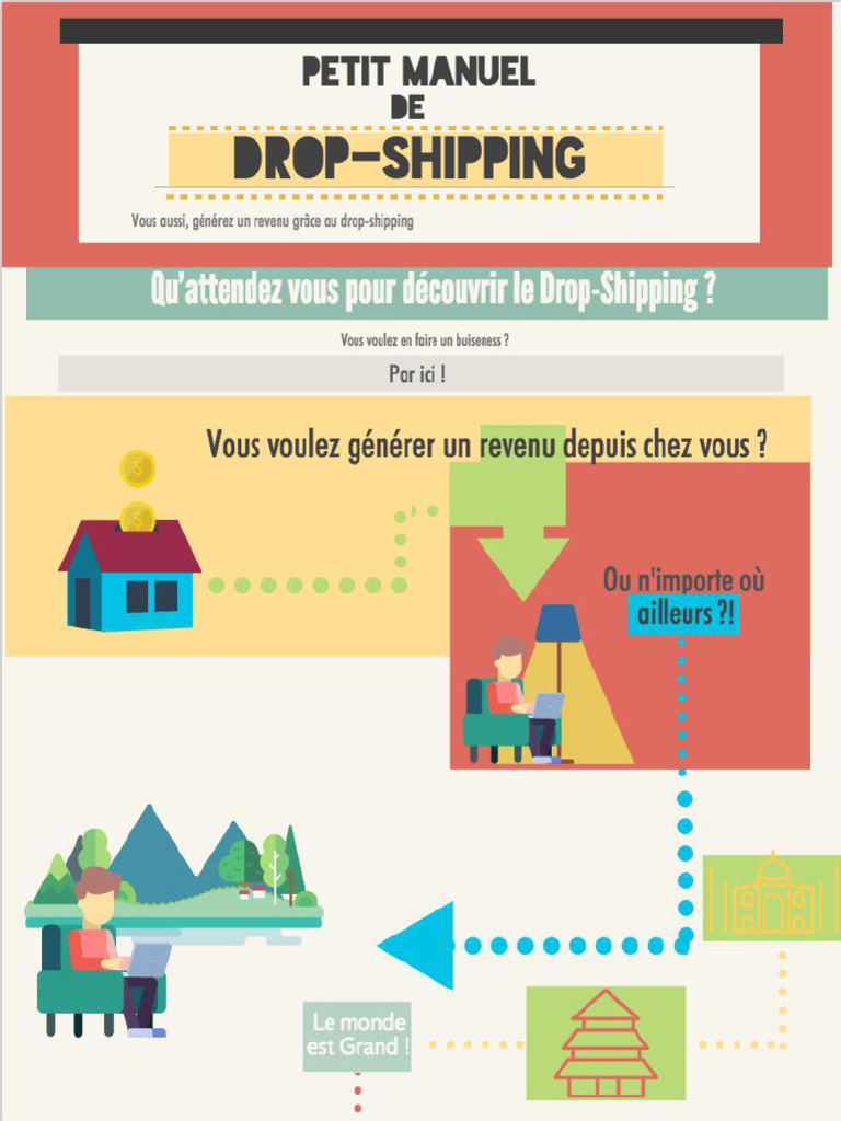 Le Petit Manuel de DropShipping 1 | PDF