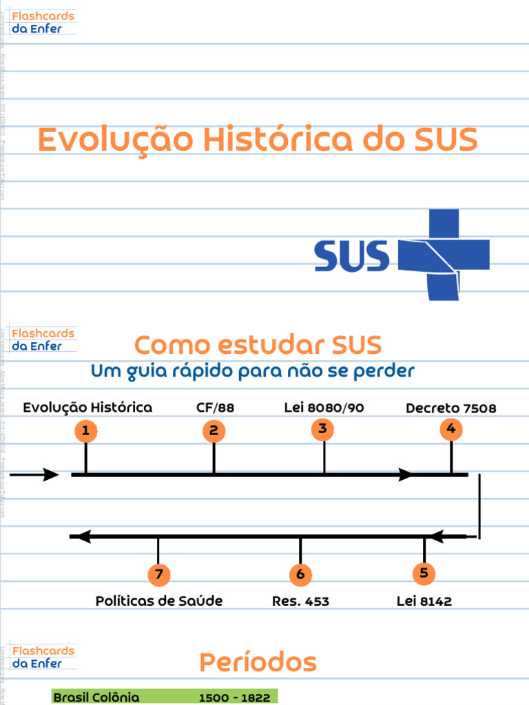 Evolucao Historica Do Sus | PDF | Serviços públicos | Remédio