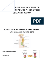 3 Anatomia Columna Vertebral