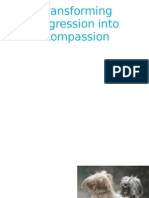 Transforming Aggression Into Compassion