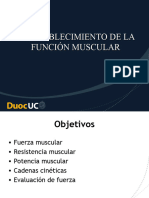 Funcion Muscular Clase Semana 6