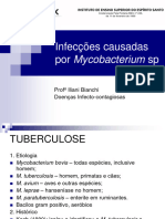 3 - Tuberculose - Roteiro