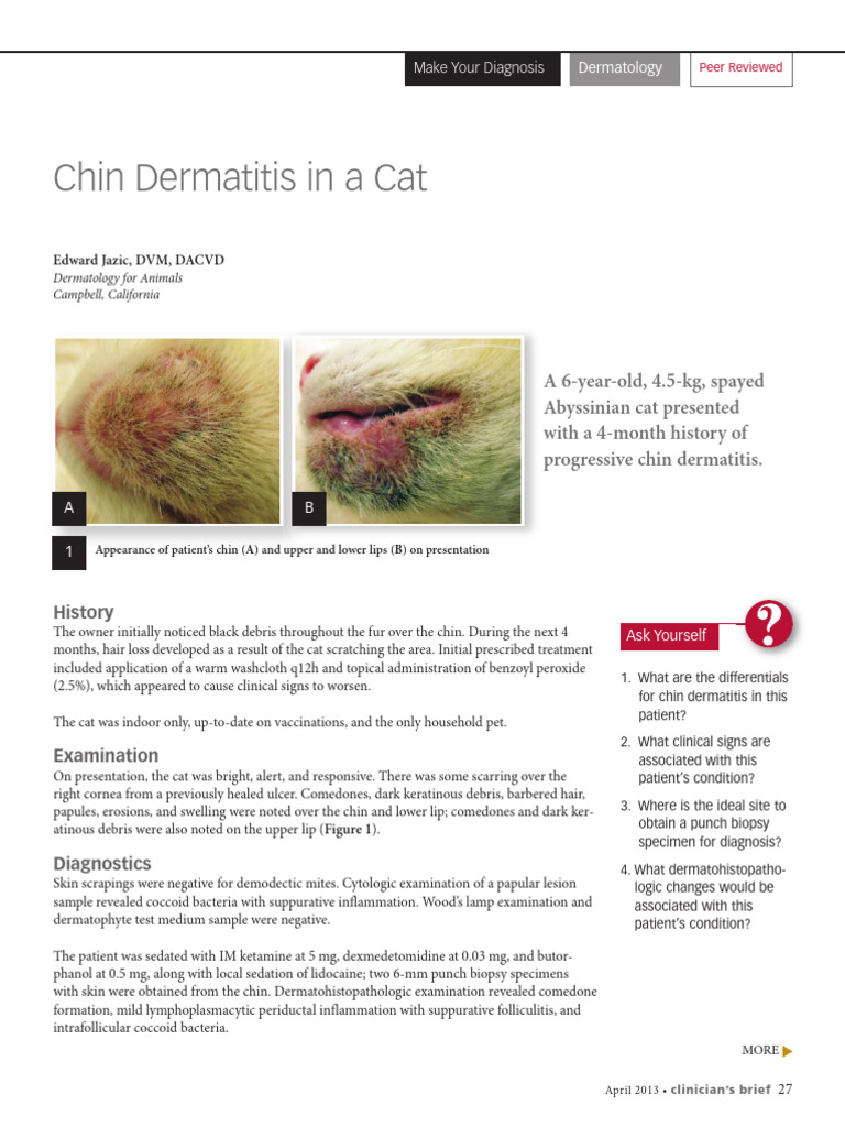 Feline Acne and Chin Dermatitis Treatment | PDF | Dermatitis | Medical ...