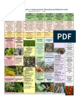 Ancient Plants 7col Schema 1 Page - by Michal Yakir