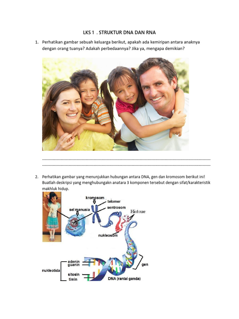 Struktur DNA dan RNA: Perbedaan dan Fungsi | PDF