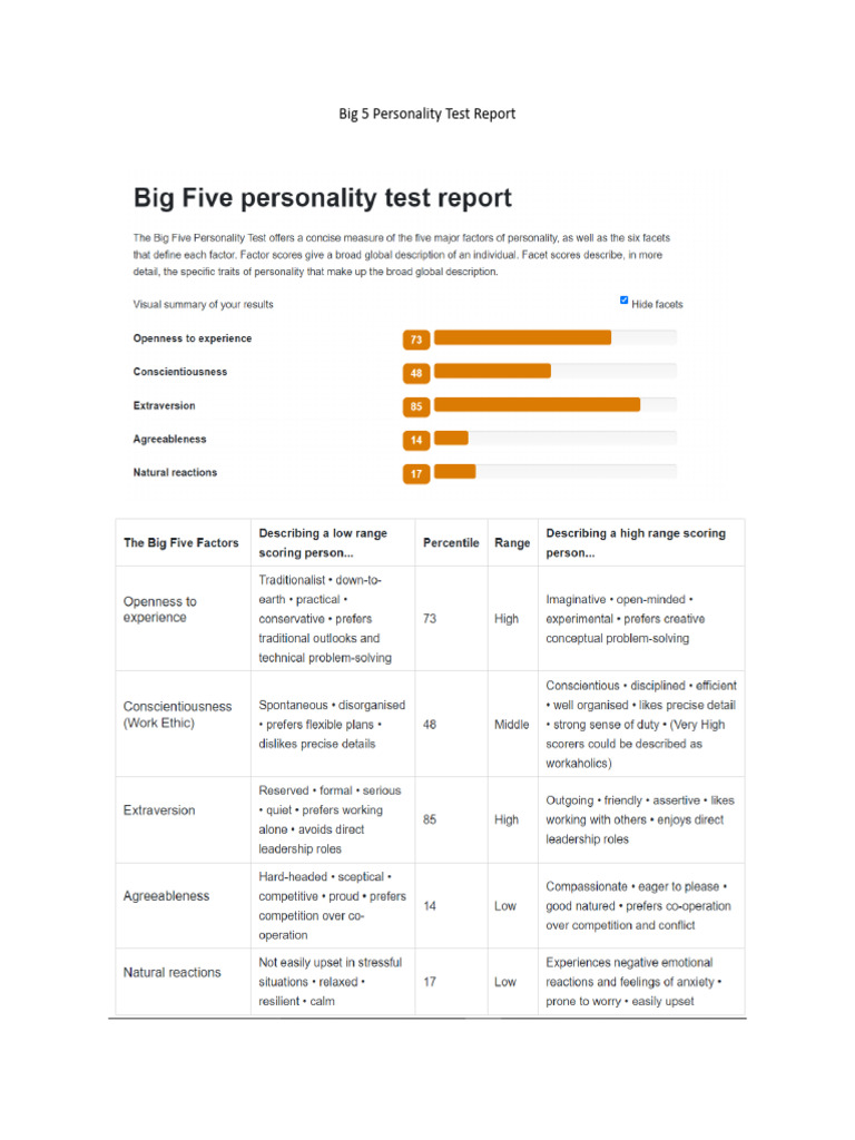 Big 5 Personality Test Report | PDF