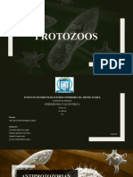 Expo Protozoos