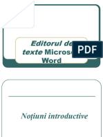 Editorul de Texte Microsoft Word