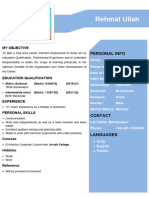 Professional CV