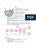 Mitosis y Meiosis