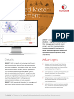 Advanced Meter Management: Details