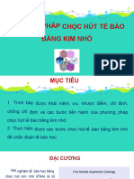Choc Hut TB Bang Kim Nho