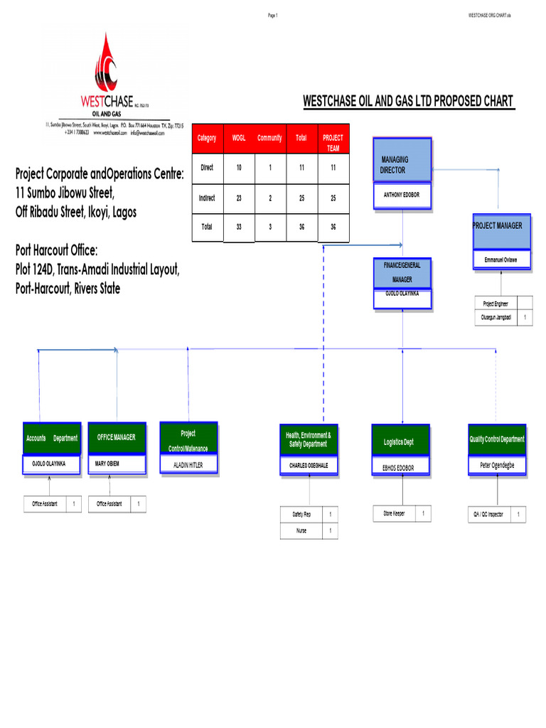 Organizational Chart & Structure | PDF