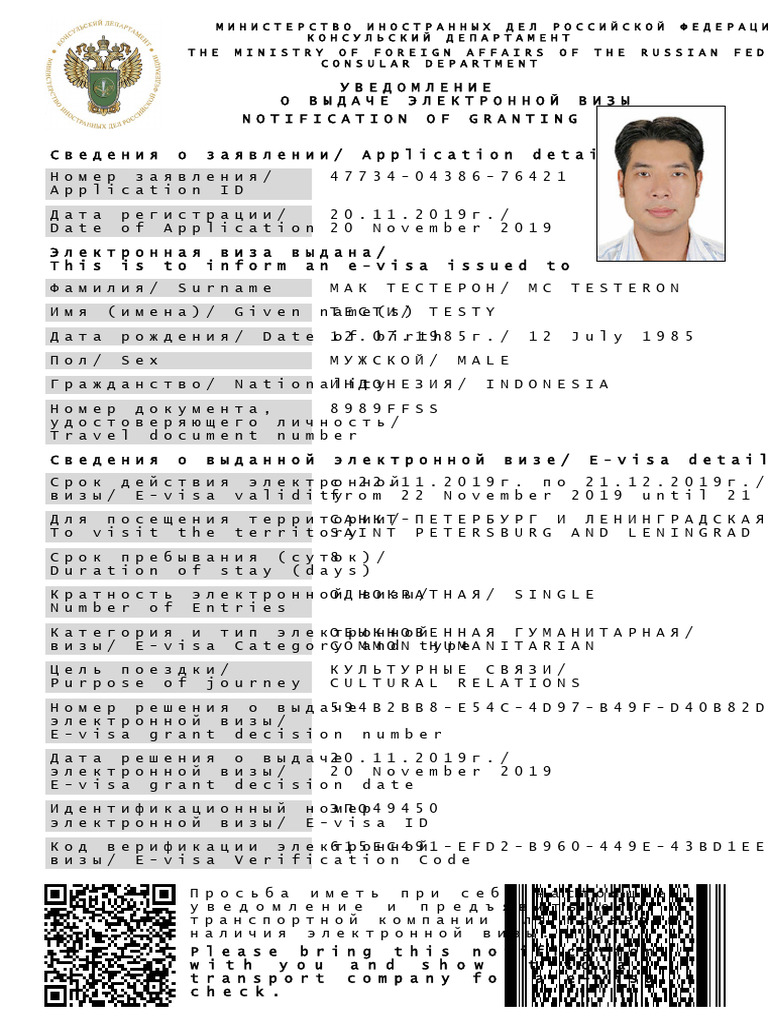 E Visa Sample | PDF