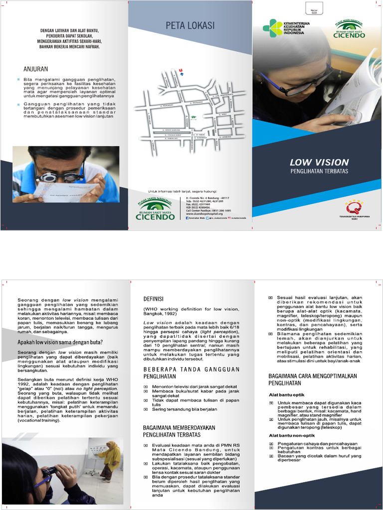 20 Low Vision | PDF