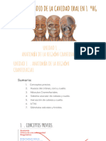 UD1 REGIÓN CRANEOFACIAL (Parte I)