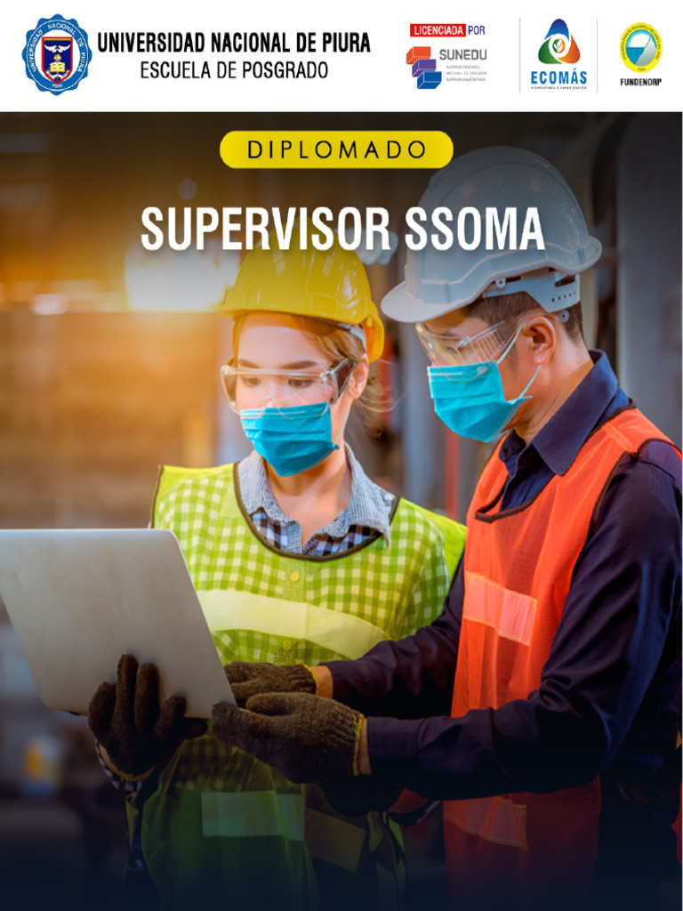 Diplomado SSOMA para Profesionales | PDF | Seguridad y salud ...