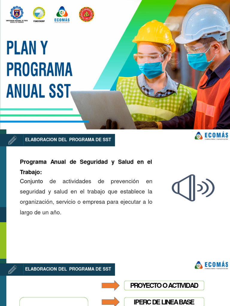 Programa Anual de Seguridad y Salud en el Trabajo | PDF | Tecnología