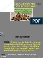 LPM-Unit III-6 Breeds of Sheep and Goats