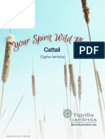 Your Spirit Wild Plant Is Cattail
