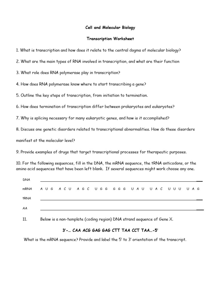 Transcription Worksheet | PDF