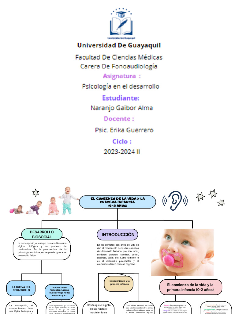 Mapa Conceptual de la Primera Infancia | PDF | Percepción | Inteligencia
