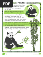 Panda Adaptations: Behavior & Structure | PDF | Giant Panda | Digestion