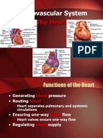 2.3 The Functions of The Heart