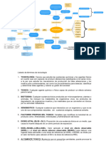 Mapa Mental Agente Contaminante Ambiental