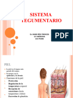 II.2. Sistema Tegumentario