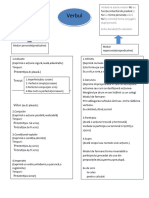 Verbul - Fisă Informativă