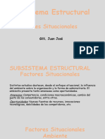 CL 17 Sub Sist Estruct - Factores Situacionales