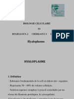 COURS BC 3 Hyaloplasme PDF