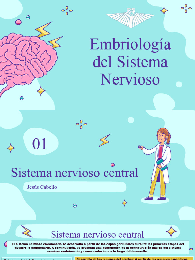 Sistema Nervioso 1 Pdf