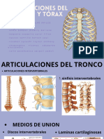 Articulaciones Del Tronco y Tórax