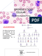 Clase 9. Leucopoyesis y Ciclo Celular