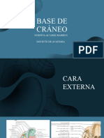 Base de Cráneo