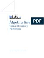 Algebra Lineal - Tema III Espais Vectorials
