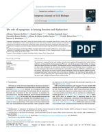 The Role of Aquaporins in Hearing Function and Dysfunction - 1-s2.0-S0171933522000553-Main