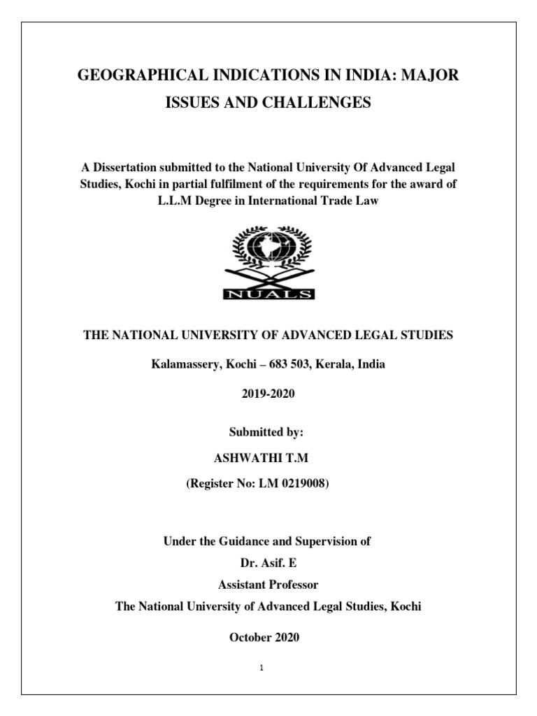 NUALS LLM Desertation - Problems With GI Tag Reg | PDF