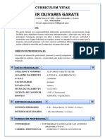 Olger Olivares Garate: Curriculum Vitae