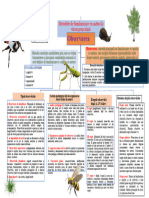 Harta Conceptuală, Format A3