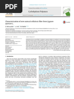 Characterization of New Natural Cellulosic Fiber From Lygeum Spartum L