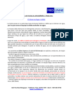 Cuidados Importantes Del Turbión de Extremidades y Buen Uso