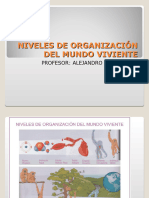 2º Clase Niveles de Organización