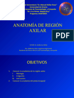 Anatomia HUECO AXILAR