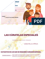 EXPOSICIÓN Curatela